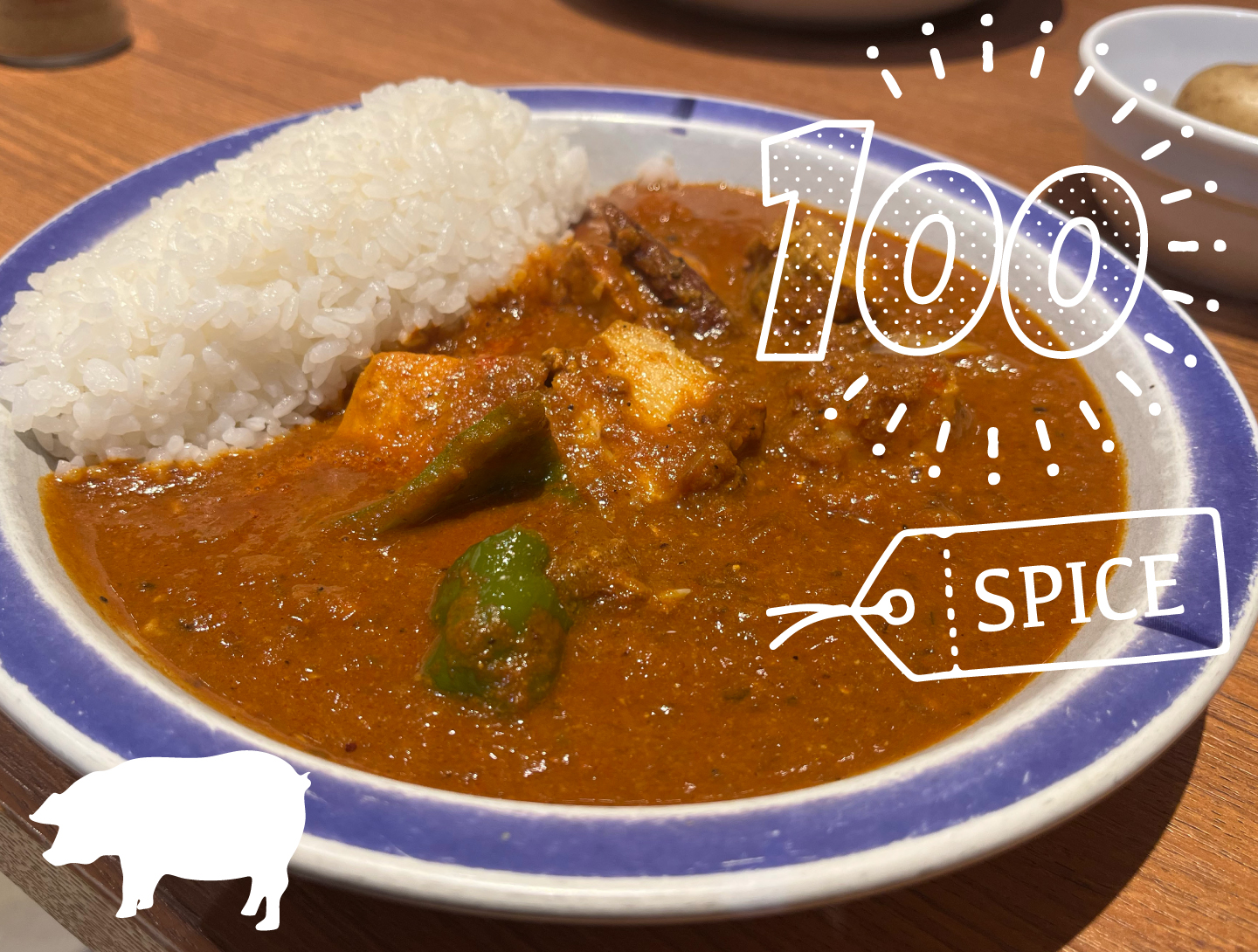 ポークカリーの100辛