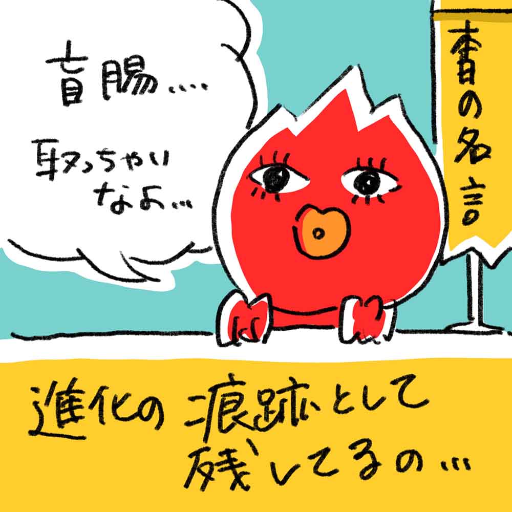 盲腸、とっちゃいなよイラスト