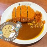 20辛への道！今日は1辛でCoCo壱カレー！