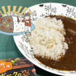 スパイス屋 うまみポークのスパイスカレー 中辛で朝カレー｜OL モーニングにカレーを食す